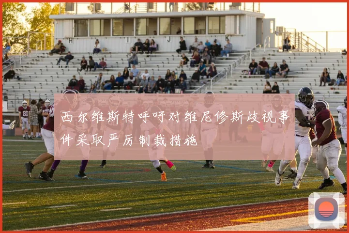 西尔维斯特呼吁对维尼修斯歧视事件采取严厉制裁措施