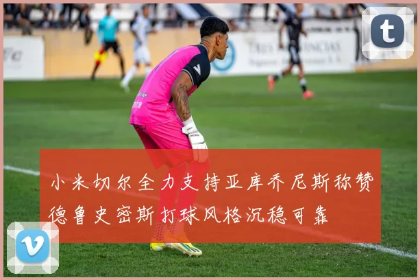 小米切尔全力支持亚库乔尼斯称赞德鲁史密斯打球风格沉稳可靠