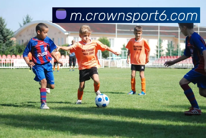 皇冠体育平台生态图